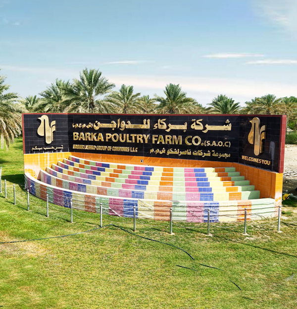 Healthy hens producing quality eggs in Oman