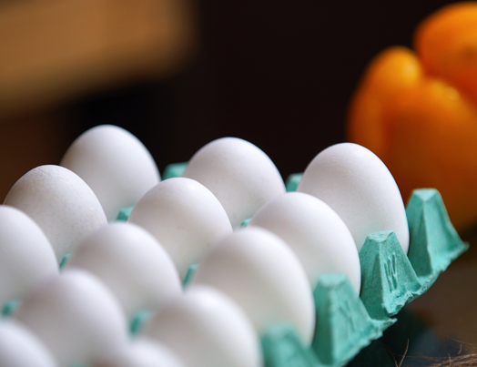 Modern egg production facilities ensuring high-quality and hygiene